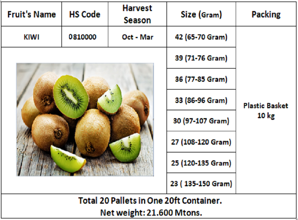 Import Kiwi Fruit Kiwi Fruit Import from Iran Iranian Kiwi Import